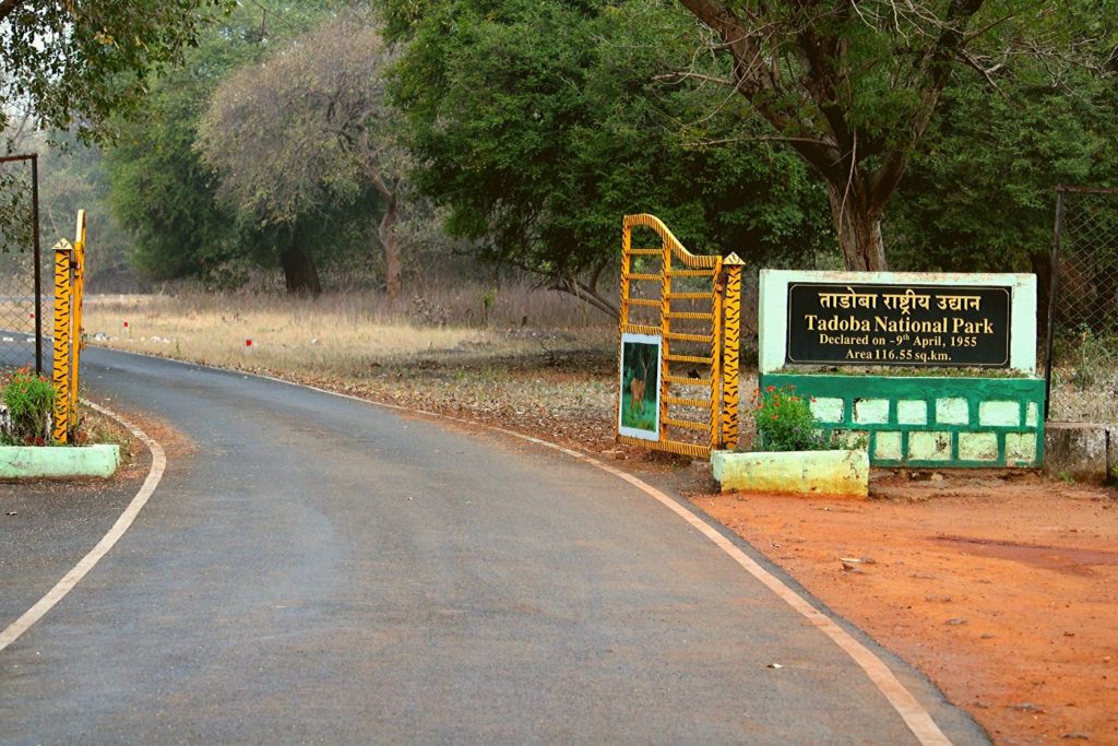 Tadoba